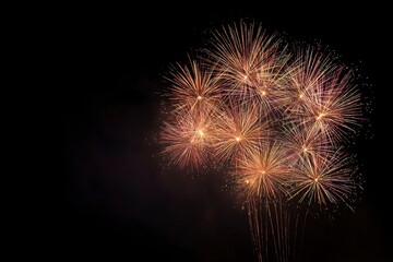 Fototapeta premium Vivid fireworks burst with golden pink and white hues against a dark night sky