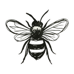 Obraz premium PNG Hand-drawn bee illustration art.