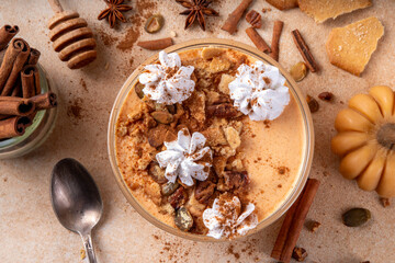 Pumpkin Pie Greek Yogurt Breakfast Bowl with pumpkin puree and seeds, pecan nits, graham crackers, topped with whipped cream and cinnamon, tasty autumn season snack or breakfast recipe