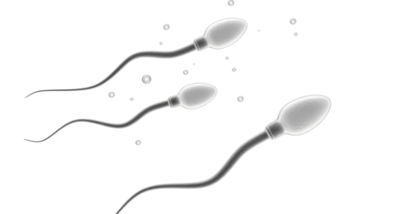 Isolated Spermatozoa Cells Biology Microscopic View Male Fertility Reproduction IVF Concept
