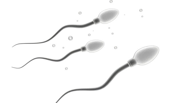 Isolated Spermatozoa Cells Biology Microscopic View Male Fertility Reproduction IVF Concept