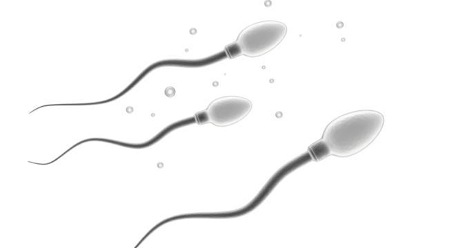 Isolated Spermatozoa Cells Biology Microscopic View Male Fertility Reproduction IVF Concept