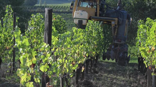 Tractor working vineyard on wine farm after harvest, Agriculture and organic farming concepts, Saint-Emilion, Gironde, France, High quality 4k footage