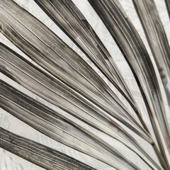Obraz premium Palm Frond Close-up Veins Detail, Patterned Backdrop. For art, design, texture