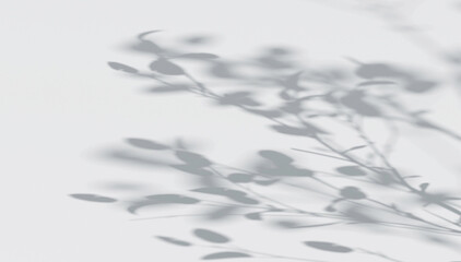 Abstract tree branches shadow on wind background