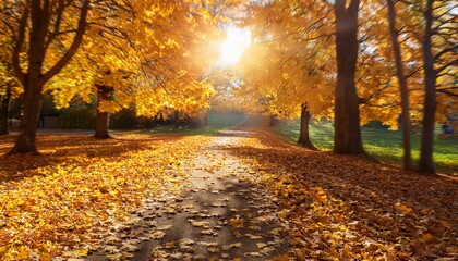 Naklejka premium Sunlit Autumn Path Strewn With Golden Leaves Framed By Vibrant Trees Creates A Serene Idyllic Scene