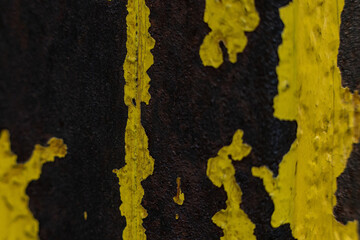 Rusty textured background shows intricate patterns of yellow and black layers revealing the passage of time on metal