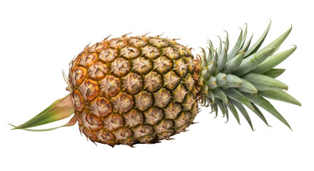 Fototapeta premium Isolated pineapple fruit with leaves, fresh tropical fruit for healthy eating, full view