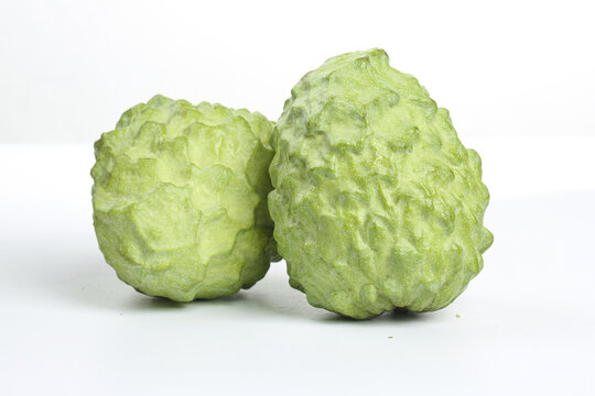 Fresh Bergamot Citrus Fruits on White Background - Asian Citrus Specialty