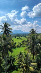 Fototapeta premium Lush landscape view with towering palm trees, verdant rice fields, and distant mountains under blue sky