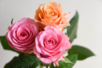 オレンジとピンクのばら