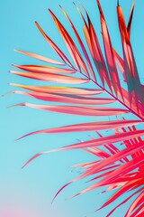 Tropical palm frond against vibrant sky; exotic vibe, use as wallpaper, background