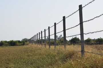 A large fence with rows of barbed wire in a field, Concrete pole with wire fencing around rice field for protection Barbed wire fence with burred image of field
