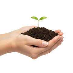 Female hands holding soil with small green sprout, eco concept of growth, sustainability and care