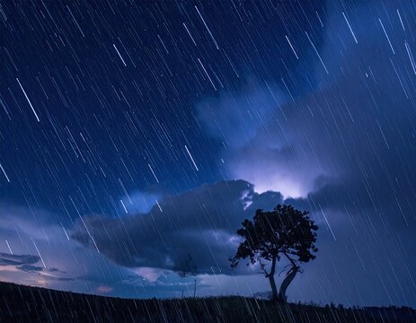 Stormy night sky with star trails and a lone tree