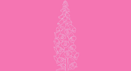 Outlined foxglove blossom © gudangPIXEL
