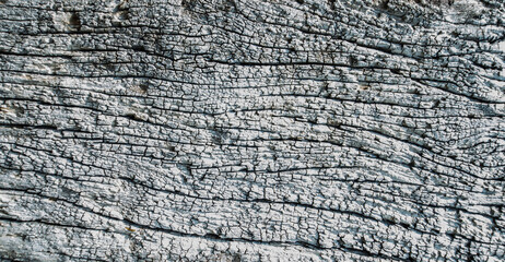 Fototapeta premium Old wood texture with natural patterns. Abstract background and texture for design.