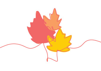 maple leaf isolated on white