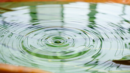 Water ripples and concentric circles on calm surface with green reflections