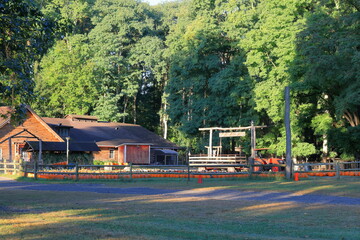 Farm market displaying its fall pumpkins and offering tractor hay rides