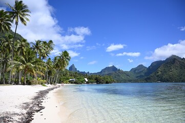 Baie &agrave; Moorea