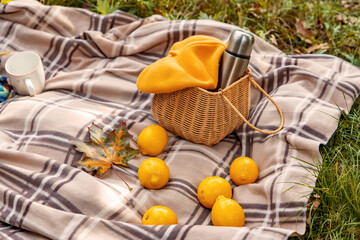 Cozy fall picnic arrangement of lemons, wicker basket and metal thermos on a checkered blanket outdoors