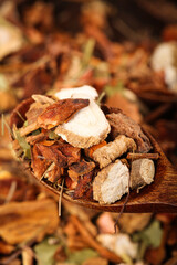 Dried Spices Collection in Wooden Spoon - Star Anise Cinnamon Chili Peppers Hot Seasoning Ingredients