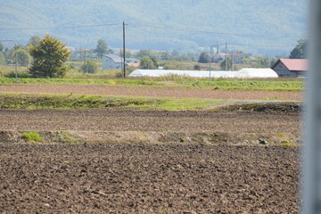 北海道の畑