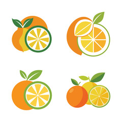 citrus fruit collection with orange and lemon slice