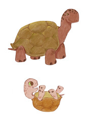 Hand drawn turtles characters, mother and baby. Isolated animal illustrations