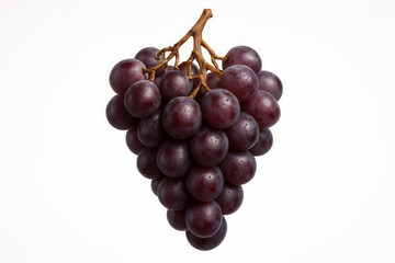 Luxurious deep burgundy-purple grapes with natural frosting on a gnarled vine.