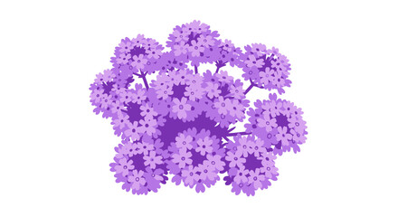 Light purple flower clusters