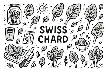 Hand-drawn swiss chard elements with seeds, leaves, and sun illustrations