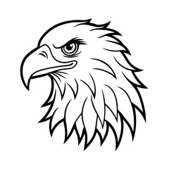 Eagle Head Line Art | Black and White Eagle Face Outline Drawing