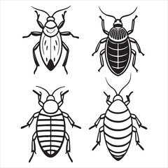A Nocturnal Bloodsucking Bedbug Parasite, a Cimicidae Infestation Insect with a Tiny Flat Body Hiding in a Mattress, Causing Bites and Discomfort