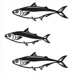 A Sleek Pelagic Mackerel Fish, an Oily Fish Scomber Species with Distinct Flavor, Prized as a Striped Fatty Fish Rich in Omega3