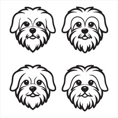 A Loyal Tibetan Lhasa Apso, an Ancient Sentinel Lion dog with a Bearded Longhair Flowing coat Originating in a Monastery