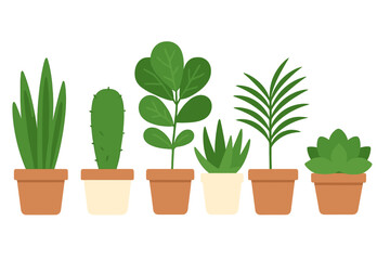 Fototapeta premium Diverse collection of potted green houseplants for interior decoration, featuring succulents, cactus, and leafy foliage