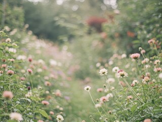 A vibrant field of light pink and white flowers with green leaves under soft natural light, creating a serene, blurred background.