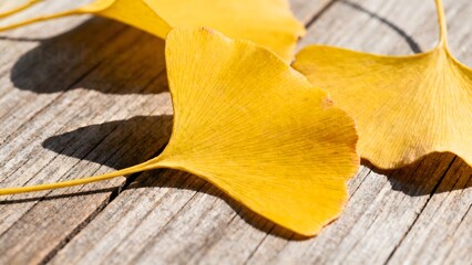 Naklejka premium autumn leaves on wooden background