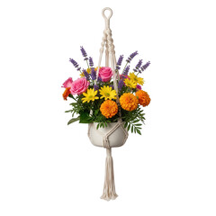 Naklejka premium Beautifully arranged colorful flower pot hanging with macrame holder plant decorative arrangement isolated on transparent background