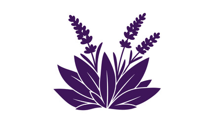 Purple lavender graphic, leaves & flower stalks on white