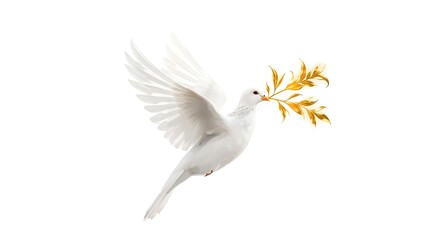 Obraz premium A white dove in flight, carrying a golden olive branch in its beak, symbolizing peace and hope.