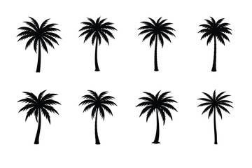 Palm tree, silhouettes, isolated vector, white background, vector art illustration