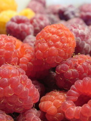 Zbliżenie na owoce maliny © Kumulugma