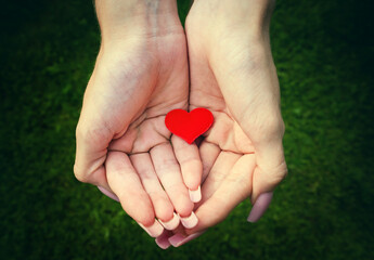 Red Heart in a Hands