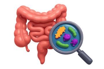 Gut microbiome research concept with 3D human intestine and magnifier. Vector for digestive health, SIBO, leaky gut syndrome, candida growth, and probiotic bacteria analysis.