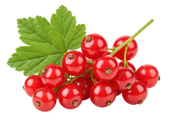 Redcurrant branch with green leaf isolated on transparent background, fresh juicy berries for healthy eating and summer desserts