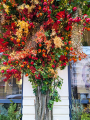 Exterior holiday decoration featuring a vibrant tree with red berries, golden leaves, glowing string lights, autumn foliage, and cozy seasonal atmosphere