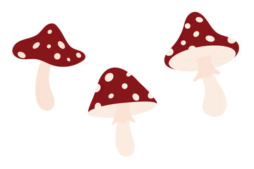 Set of red fly agaric mushroom isolated on white background. Concept of Autumn forest. Design element for greeting card, poster, banner, sticker. 